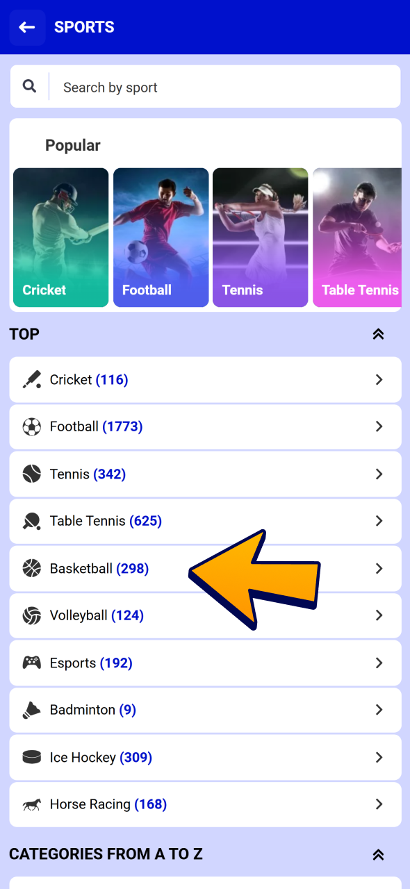Choose basketball at Paripesa sports section.